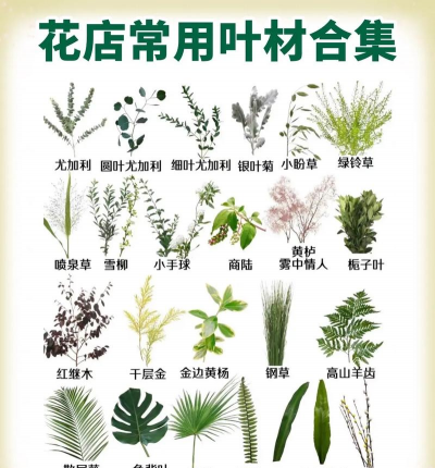 葡萄栽培，掌握关键技术，实现优质丰产