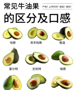 牛油果是什么类型的果