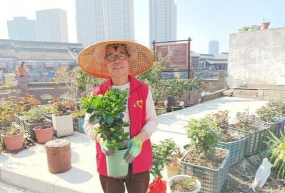 家庭养花用生根粉