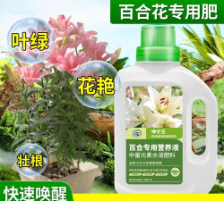 家庭养花用生根粉