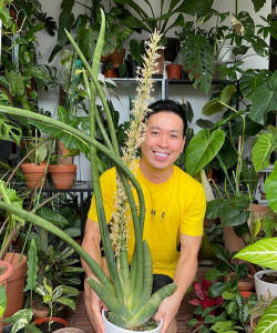 家庭养花用生根粉