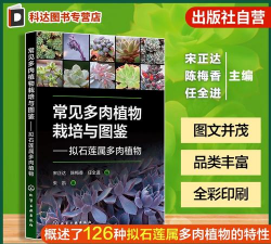 多肉植物拟石莲花属的种植养护