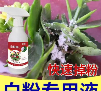 家庭养花用生根粉