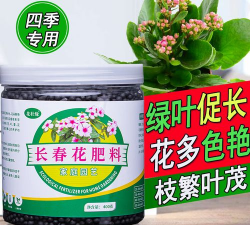 家庭养花用生根粉