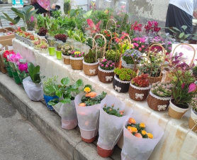 卖花市场怎么样