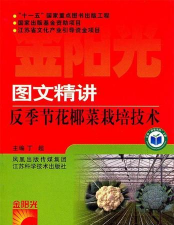 反季花椰菜的栽培技术