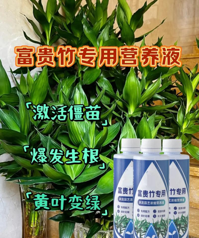 家庭养花用生根粉