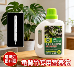 家庭养花用生根粉