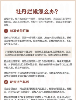 牡丹烂根怎么补救最快