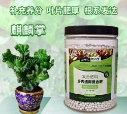 家庭养花用生根粉