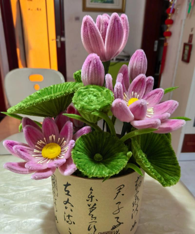 家庭养花用生根粉