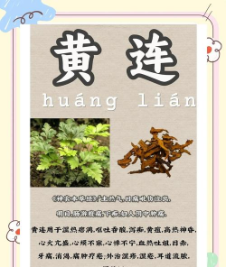 黄连与黄连有什么区别