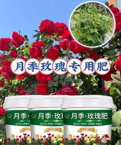 家庭养花用生根粉