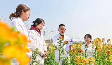 家庭养花用生根粉