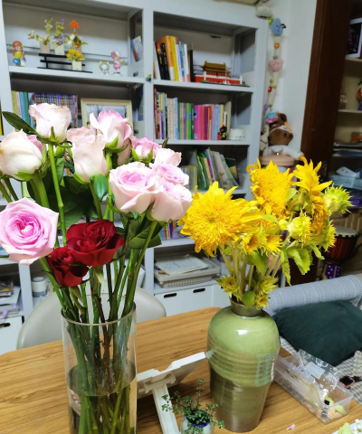 家庭养花用生根粉