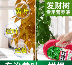 家庭养花用生根粉