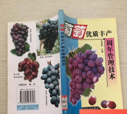 优质丰产葡萄管理技术 优质丰产葡萄管理技术