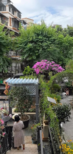 家庭养花用生根粉