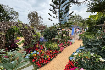 家庭养花用生根粉