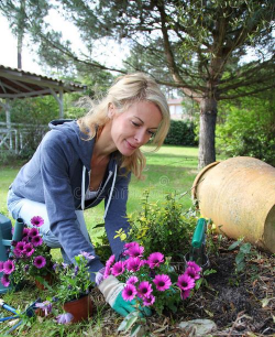家庭养花用生根粉