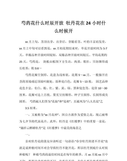 勺药牡丹什么时候开