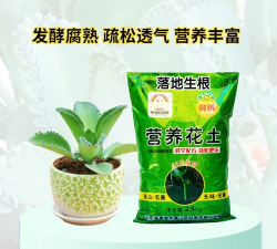 家庭养花用生根粉