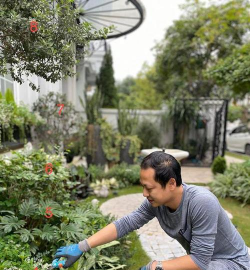 龙江小伙养花
