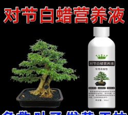 家庭养花用生根粉