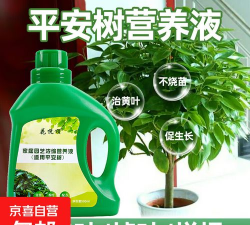 家庭养花用生根粉