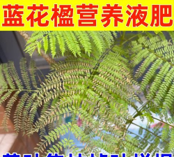 家庭养花用生根粉