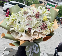 家庭养花用生根粉