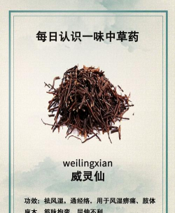 威灵仙什么时候施肥