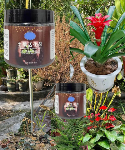 家庭养花用生根粉