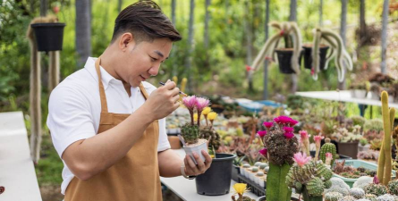 家庭养花用生根粉