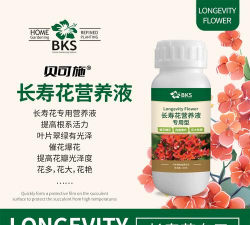 家庭养花用生根粉