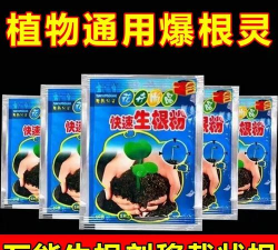 家庭养花用生根粉