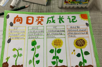 花怎么在新环境生长