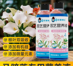 家庭养花用生根粉