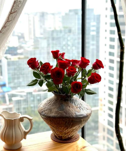 玫瑰花插枝什么季节适合