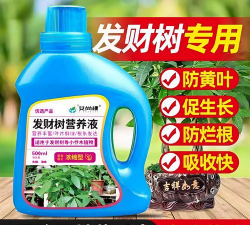 家庭养花用生根粉