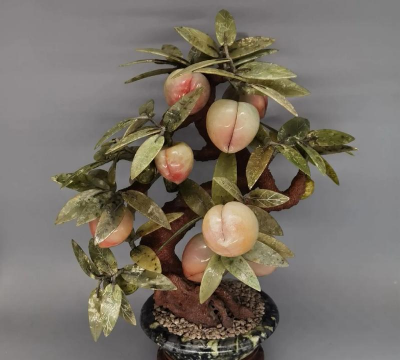 种寿星桃用什么盆好