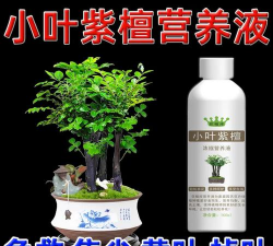 家庭养花用生根粉