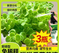 家庭养花用生根粉