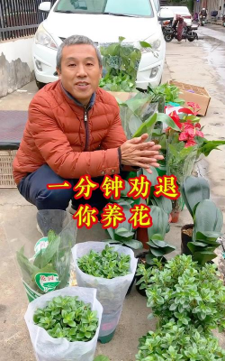 家庭养花用生根粉