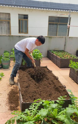 家庭养花用生根粉