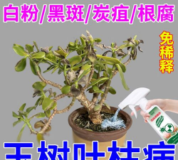 家庭养花用生根粉