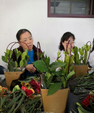 家庭养花用生根粉