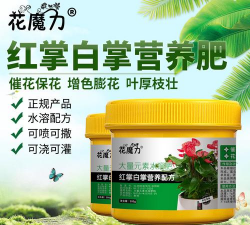 家庭养花用生根粉