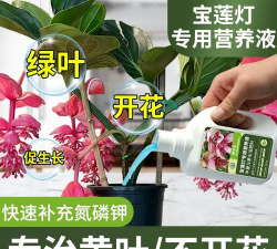 家庭养花用生根粉