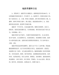 地肤什么时候种植最好